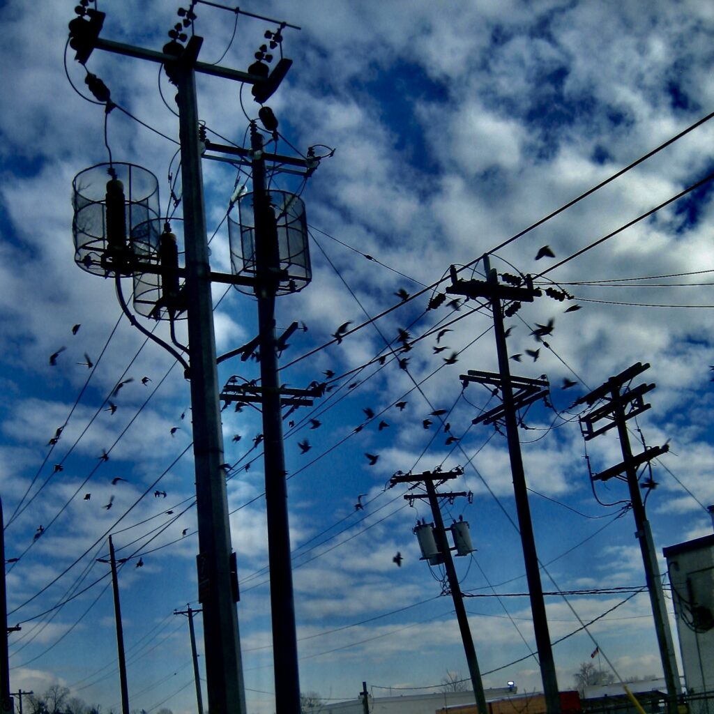 Blue sky and clouds with birds and telephone poles. Photography by Rhonda Jesckey