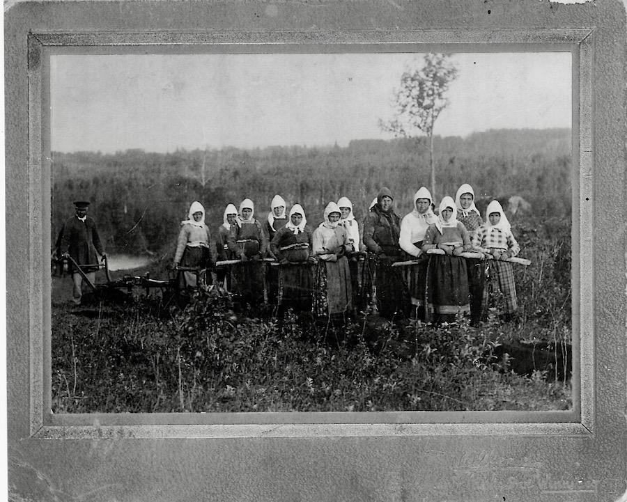 Doukhobor women hitched to a plow in Saskatchewan. Photographer unknown.